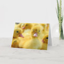 Search for group cards Cute