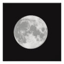 Search for magical night posters Black