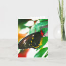 Search for butterfly note cards Black