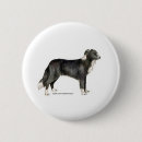 Search for sheepdog badges Dogs