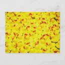 Search for ducky postcards Rubber duckies