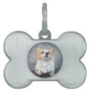 Search for photo pet tags Birthday