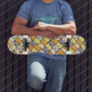 Search for felines skateboards Animals