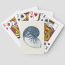 Search for shark playing cards Sealife