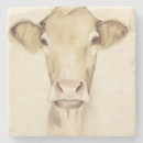 Search for cow coasters Watercolor