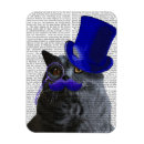 Search for tophat magnets Steampunk