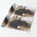 Search for silver fox crafts party Wildlife