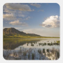 Search for reflection stickers Scenic