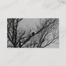 Search for take business cards Photography