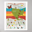 Search for migrate posters Butterfly