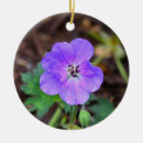 Search for geranium christmas tree decorations Floral