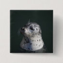 Search for ocean view badges Outdoors