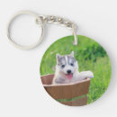 Search for siberian husky key rings Snow dog