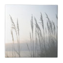 Search for dune tiles Seascapes