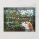Search for scent postcards Pink