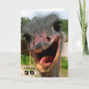 Search for funny ostrich birthday cards Nature
