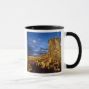Search for jayne mugs Sky