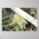 Search for fuzzy art Yellow