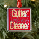 Search for gutter Cleaner