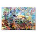Search for turtle quotes art Inspirational