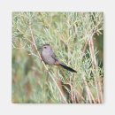 Search for birdwatchers magnets Birds