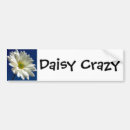 Search for crazy bumper stickers Daisy