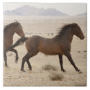 Search for namibia tiles Animal