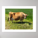 Search for channel islands posters Jersey