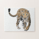 Search for cat painting puzzles Jungle