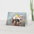 Search for french easter cards Bunny