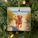 Search for path christmas tree decorations Ocean