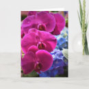 Search for orchid cards Summer