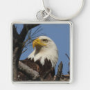Search for bald head key rings Bird of prey