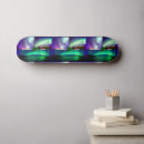 Search for akes skateboards Aurora borealis