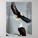 Search for eagle fantasy art Wildlife