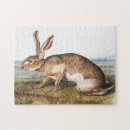 Search for hare puzzles Vintage