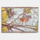 Search for monkey blankets Nature