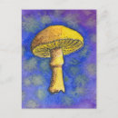 Search for mushroom postcards Magic