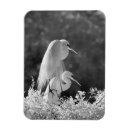 Search for egrets magnets White