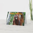 Search for orangutan birthday cards Cute