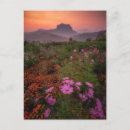Search for parkland postcards Flower