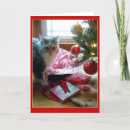 Search for cat photo christmas cards Cute
