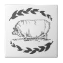 Search for pig tiles Sow