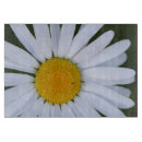 Search for british cookware White