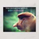 Search for proboscis Funny
