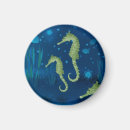 Search for creatures magnets Ocean