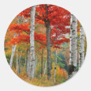 Search for hardwood stickers Autumn