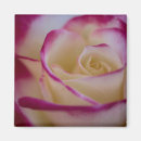Search for delightful magnets White