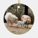 Search for farming christmas tree decorations Nature