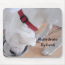 Search for healthy mousepads Self care